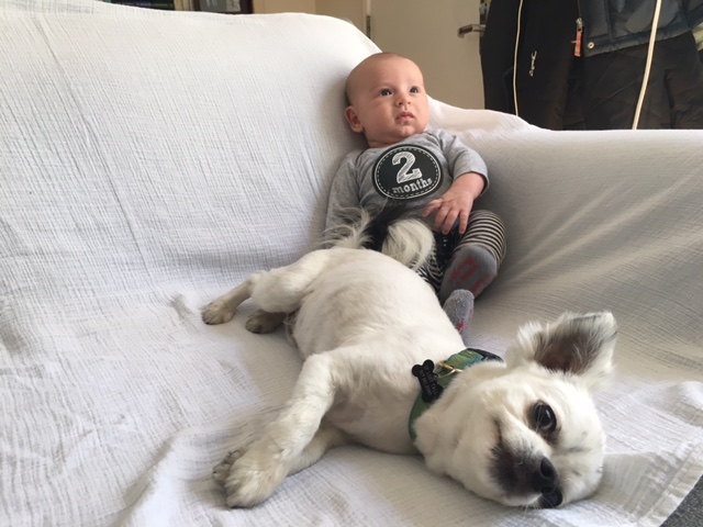 Chase with Charlie at 2 mos